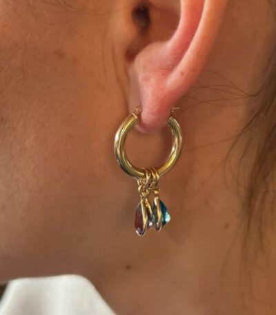 Gold Hoop Charm Earrings