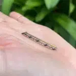Gold Sapphire Pin